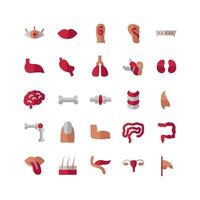 Human Organ icon set vector flat for website mobile app presentation social media Suitable for user interface and user experience