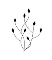 twig asymmetric on a white background vector
