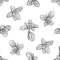 Basil Seamless Pattern. Italian herbs.A sprig of marjoram. Basil is a fragrant and fragrant seasoning. Hand-drawn illustration vector