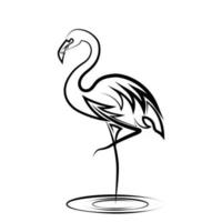 Line art vector illustration of flamingo standing with one leg