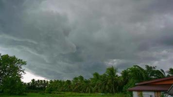 a tempestade está atingindo a floresta e uma chuva forte está caindo na tailândia nakhon si thammarat video