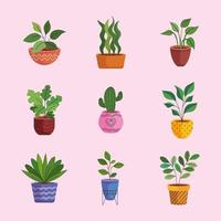 bundle of nine house plants in ceramic pots vector