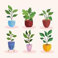 bundle of six house plants in ceramic pots vector