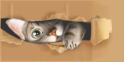 cute cat peeking through cardboard illustration vector