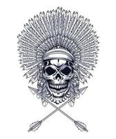 Skull with feathers and arrows vector