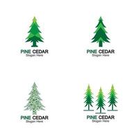 Cedar tree logo template vector icon design