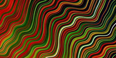 Dark Multicolor vector background with curved lines