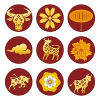 bundle of nine chinese new year icons vector