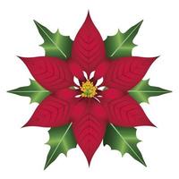 happy merry christmas red flower and leafs decoration vector