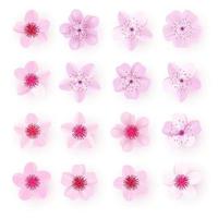 Realistic pink sakura petals icon set Cherry flowers vector