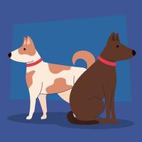 different breeds dogs on blue background vector