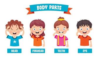 Human Body Parts vector