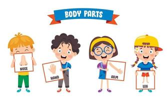 Human Body Parts vector