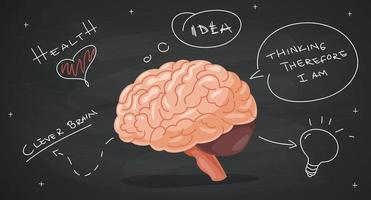 Concept Of Brain Anatomy And Creativity vector