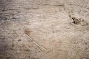 Old wood surface photo