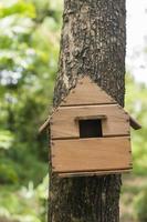 Bird house in tree photo
