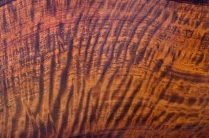 La madera de padauk de Birmania natural tiene una raya de tigre o una raya rizada de textura de grano de superficie de fondo foto