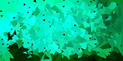 Light green vector gradient polygon layout