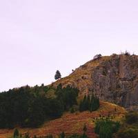 trees in the mountain in autumn season photo