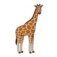 Cute doodle giraffe Vector outline cartoon single isolated illustration on white background Savannah animal smiling side view Can be used for children books or as print for clothes