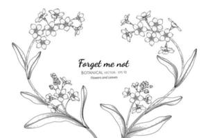 Forget Me Not Flowers Vector Art Icons And Graphics For Free Download Forget Me Not Flowers Vector Art Icons And Graphics For Free Download