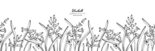 Seamless pattern Bluebell flower and leaf hand drawn botanical illustration with line art vector