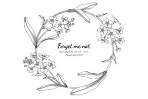 Forget me not flower and leaf hand drawn botanical illustration with line art vector