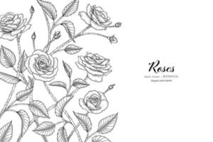 Roses flower and leaf hand drawn botanical illustration with line art vector