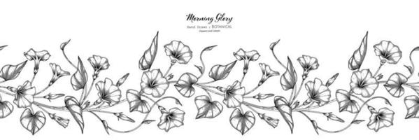 Seamless pattern Morning glory flower and leaf hand drawn botanical illustration with line art vector