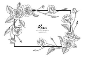 Roses flower and leaf hand drawn botanical illustration with line art vector
