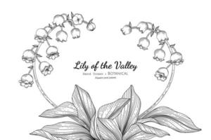 Lily of the valley flower and leaf hand drawn botanical illustration with line art vector