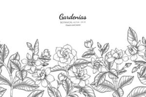 Dibujado a mano gardenias florales y hojas de patrones sin fisuras vector