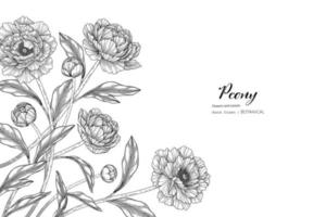 Peony flower and leaf hand drawn botanical illustration with line art vector