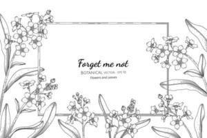 Forget me not flower and leaf hand drawn botanical illustration with line art vector