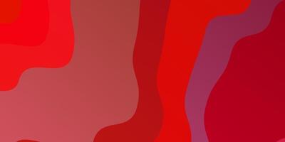 Plantilla de vector rojo claro con curvas Ilustración abstracta colorida con curvas de degradado mejor diseño para su banner de cartel publicitario