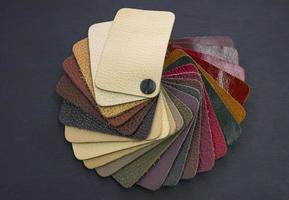 fan catalog with colored leather samples photo