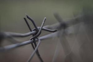 barbed wire on the fence photo