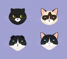 group of heads cute cats animals vector