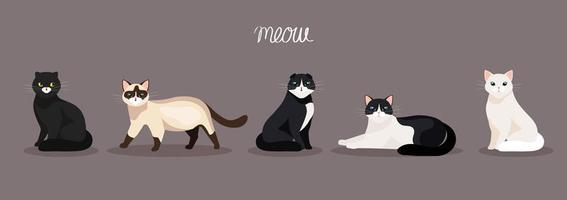 group of cute cats animals vector