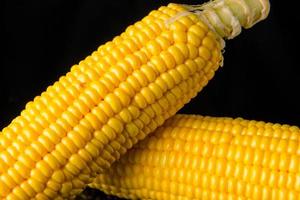 Close up Corn on black photo