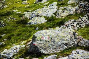 rocas y pasto foto