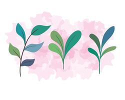 branches with leaves nature on white and pink background vector