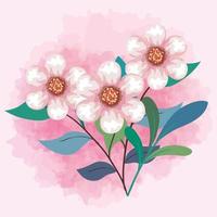 cute flowers color pink with leaves and branches vector