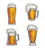 set of beers on white background vector