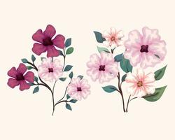 set of flowers branches with leaves vector