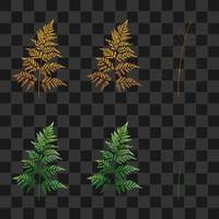 set golden fern and palm on isolated vector
