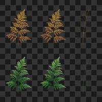 set golden fern and palm on isolated vector