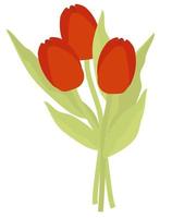 Bouquet of beautiful flowers red tulips vector