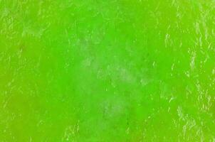 Green color abstract background with dried mango textures photo