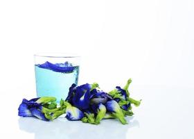 Bebida azul con hierba de guisantes de mariposa sobre fondo blanco. foto